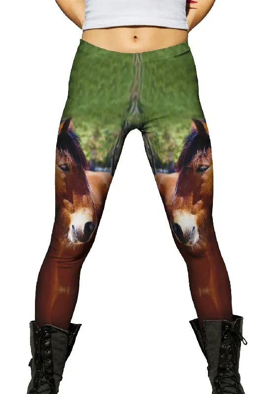 Slim Fit Longing  Horse